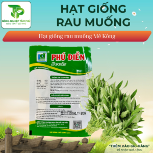 Alternative view of Hạt giống rau muống Mê Kông