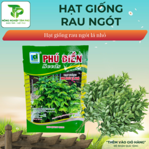 Hạt giống Rau ngót lá nhỏ