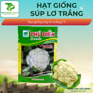 Alternative view of Hạt giống Súp Lơ trắng/ Súp lơ xanh