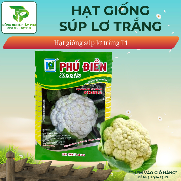 Hạt giống Súp Lơ trắng/ Súp lơ xanh - Ảnh 2