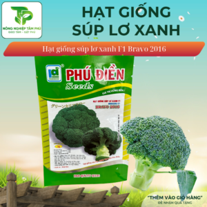 Hạt giống Súp Lơ trắng/ Súp lơ xanh