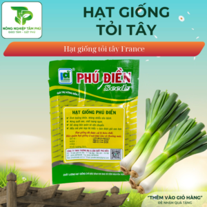 Alternative view of Hạt giống Tỏi tây France
