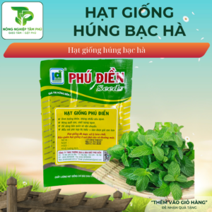 Alternative view of Hạt giống húng bạc hà PD130
