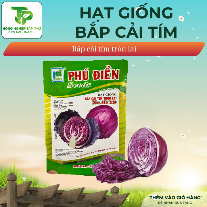 Hạt giống bắp cải tím