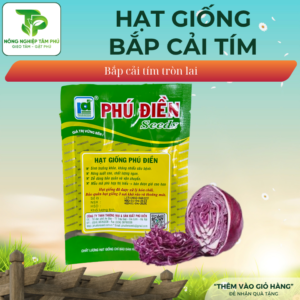 Alternative view of Hạt giống bắp cải tím