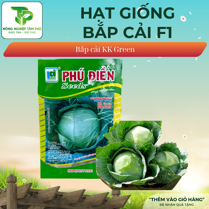 Hạt giống Bắp Cải chịu nhiệt lai F1
