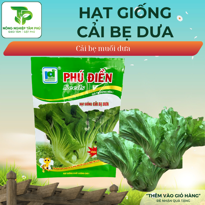 Hạt giống cải bẹ dưa