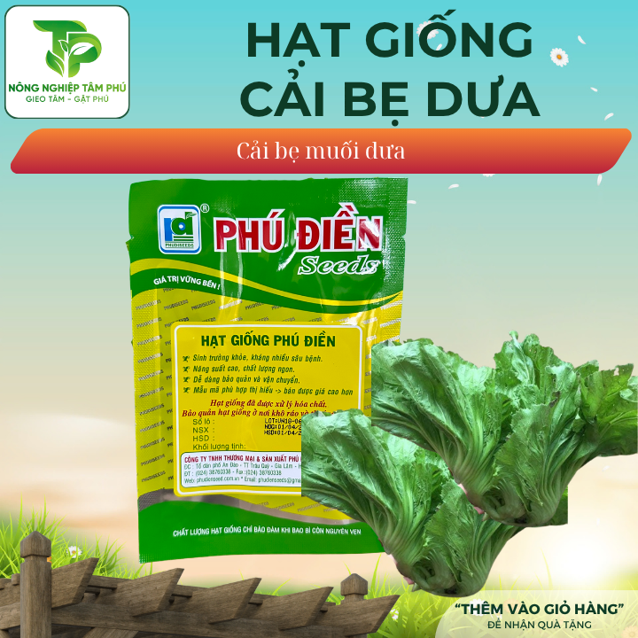 Hạt giống cải bẹ dưa - Ảnh 2