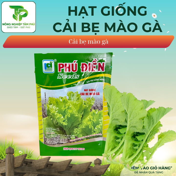 Hạt giống cải bẹ mào gà