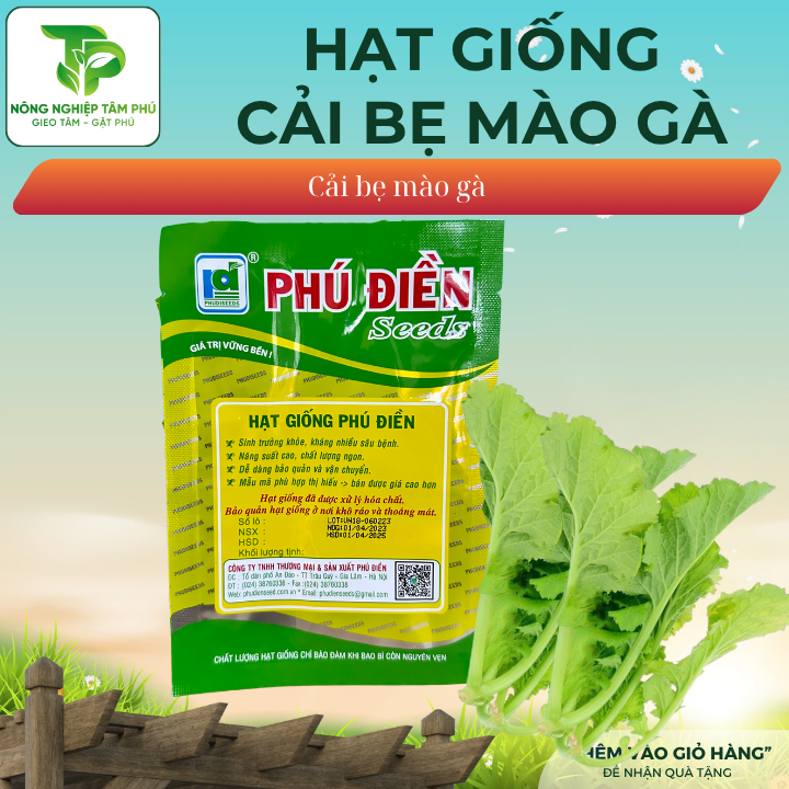 Hạt giống cải bẹ mào gà - Ảnh 2