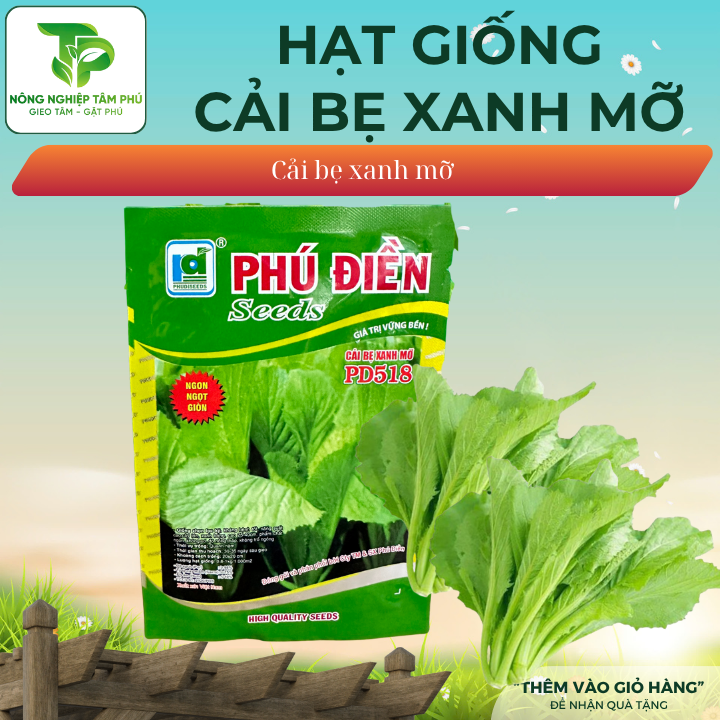 Hạt giống cải bẹ xanh mỡ PD518