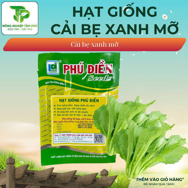 Hạt giống cải bẹ xanh mỡ PD518 - Ảnh 2
