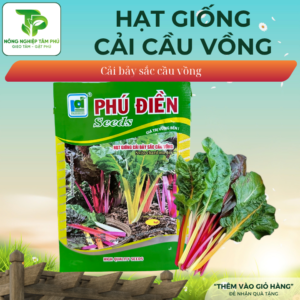 Hạt giống Cải bảy sắc cầu vồng