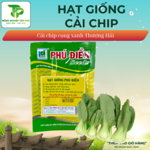 Alternative view of Hạt giống cải chip cọng xanh PD514
