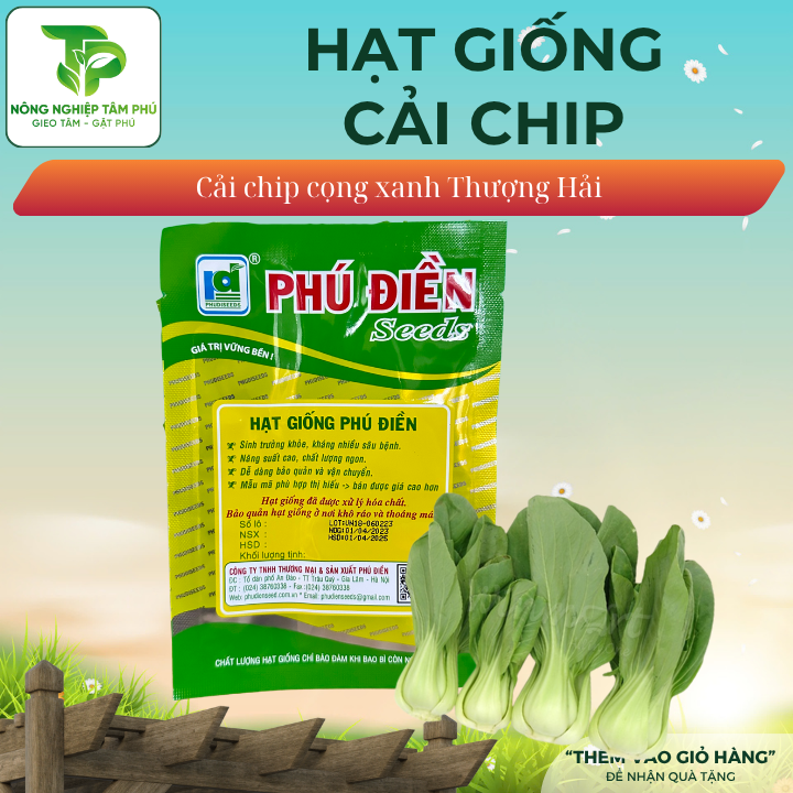 Hạt giống cải chip cọng xanh PD514 - Ảnh 2