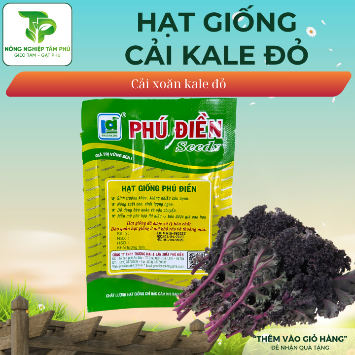 Hạt giống cải Kale Xanh, Kale Đỏ - Ảnh 3