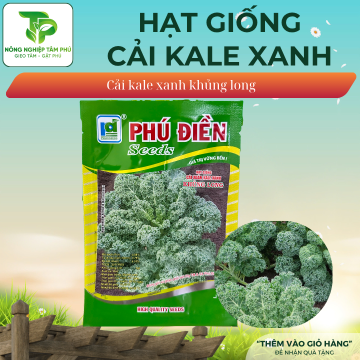 Hạt giống cải Kale Xanh, Kale Đỏ
