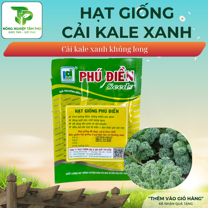 Hạt giống cải Kale Xanh, Kale Đỏ - Ảnh 4