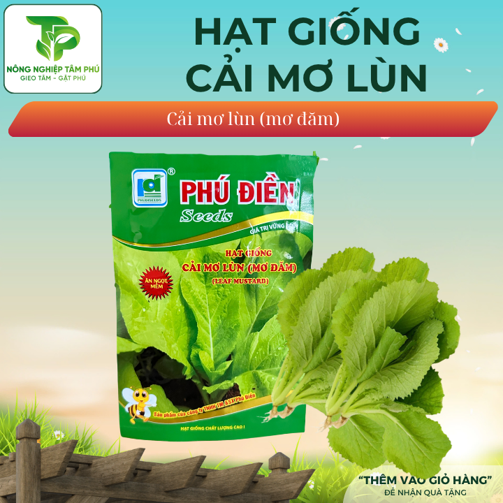 Hạt giống cải mơ lùn PD29