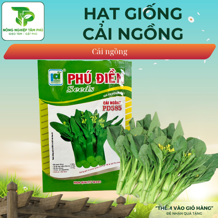 Hạt giống rau cải ngồng
