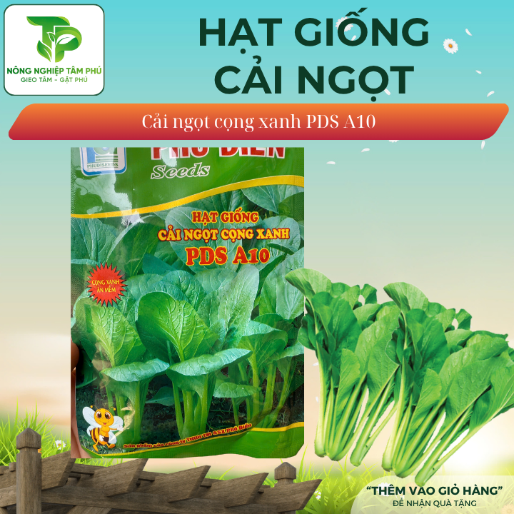 Hạt giống rau cải ngọt F1