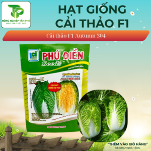 Hạt giống cải thảo lai Autumn 304
