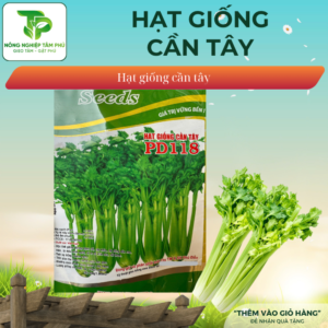 Hạt giống cần tây cao sản PD118