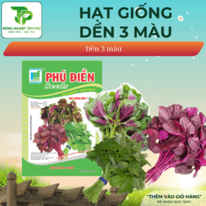 Hạt giống rau Dền 3 màu