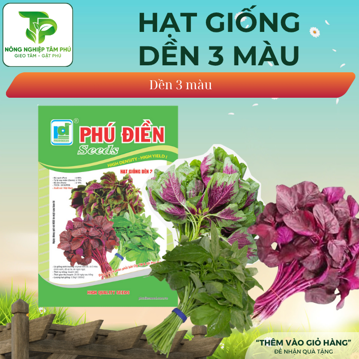 Hạt giống rau Dền 3 màu