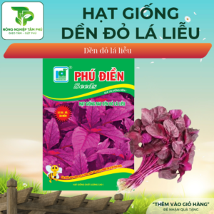 Hạt giống rau dền đỏ (Lá tròn), lá liễu