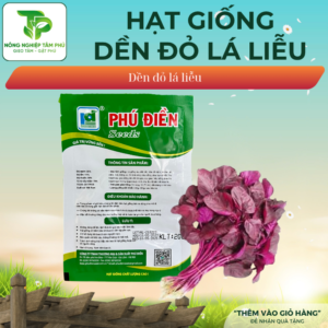 Alternative view of Hạt giống rau dền đỏ (Lá tròn), lá liễu