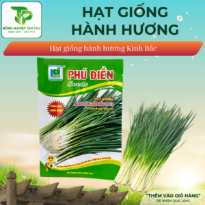 Hạt giống Hành hương Kinh Bắc PD119