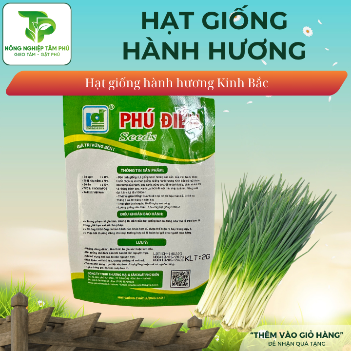 Hạt giống Hành hương Kinh Bắc PD119 - Ảnh 2