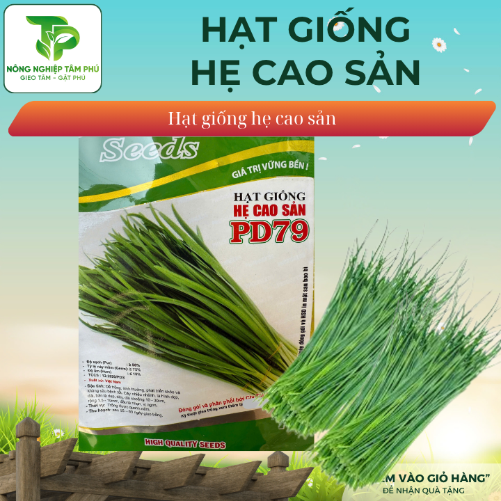 Hạt giống hẹ cao sản