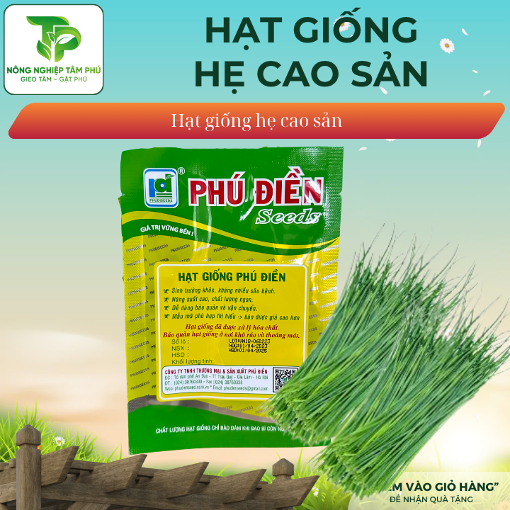 Hạt giống hẹ cao sản - Ảnh 2