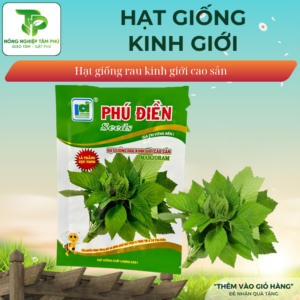 Hạt giống rau Kinh Giới