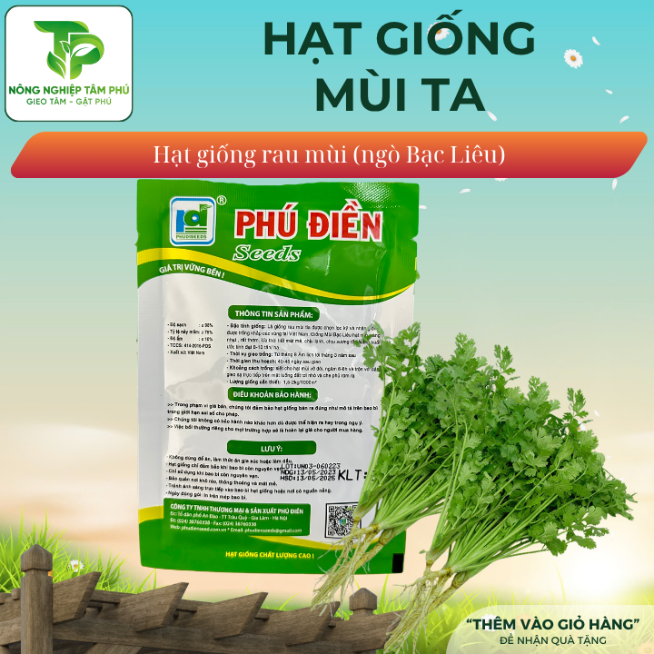 Hạt giống Mùi ( Ngò) Bạc Liêu - Ảnh 2