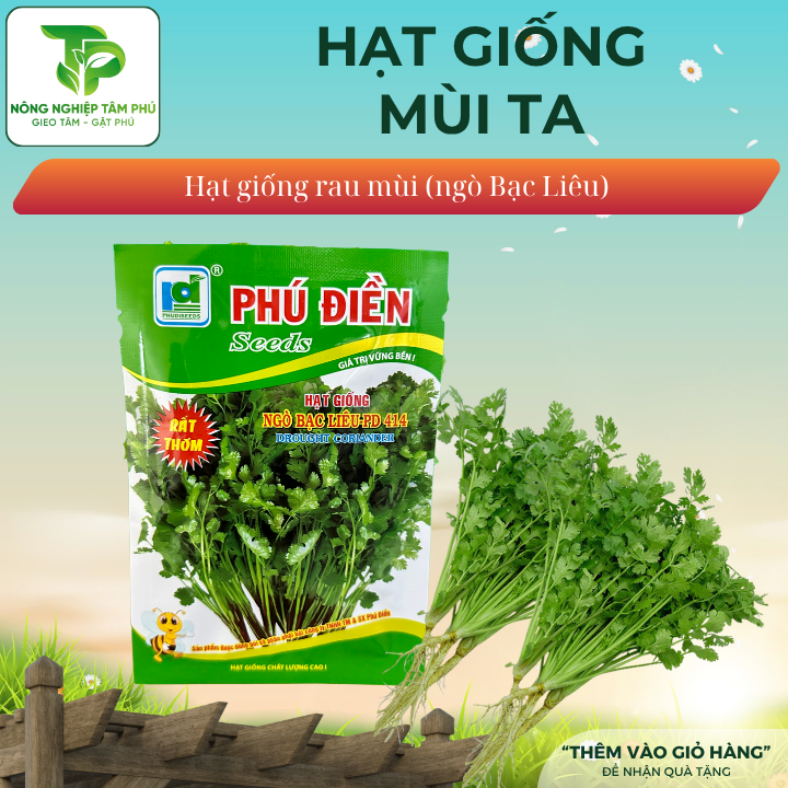 Hạt giống Mùi ( Ngò) Bạc Liêu