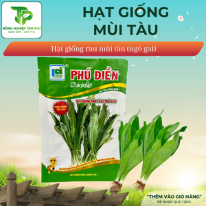 Hạt giống mùi tàu ( Ngò gai)