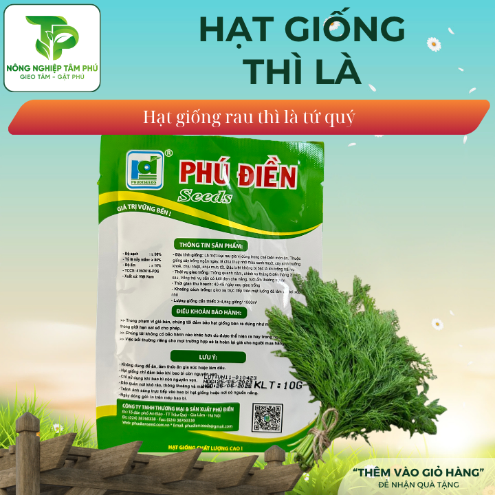 Hạt giống thì là tứ quý – PD415 - Ảnh 2