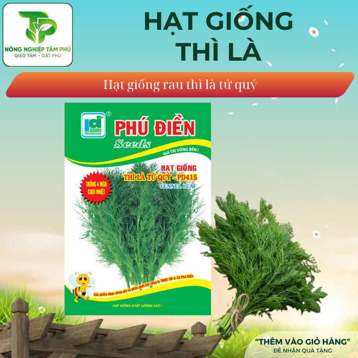Hạt giống thì là tứ quý – PD415