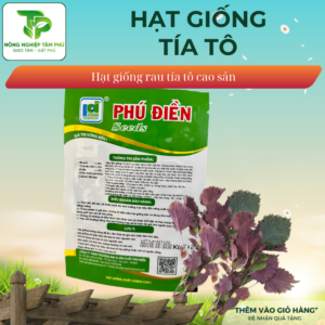 Alternative view of Hạt giống tía tô cao sản