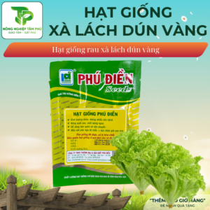 Alternative view of Hạt giống xà lách Dún Vàng PD061