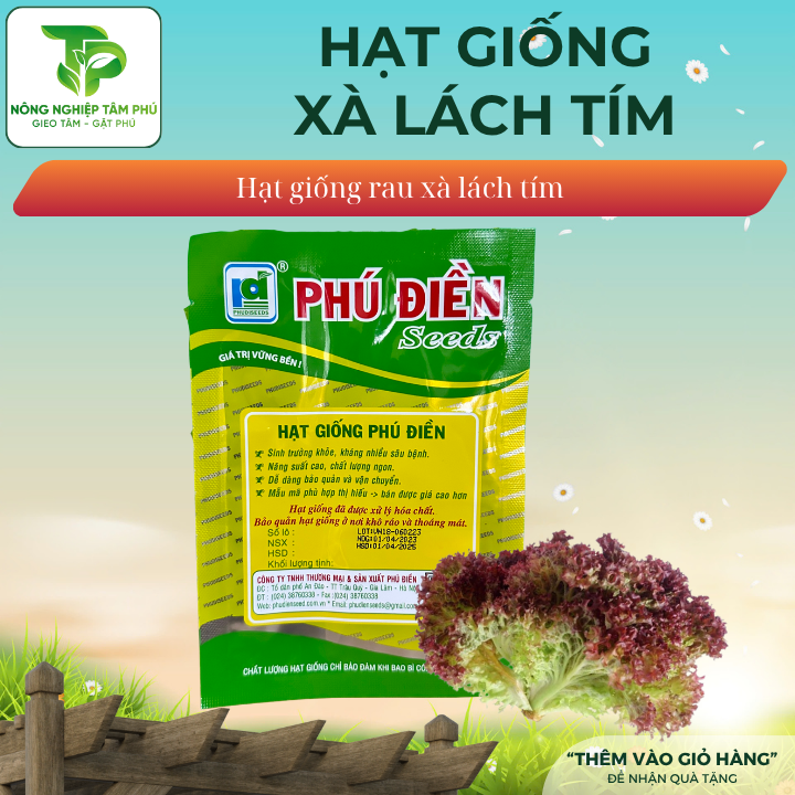 Hạt giống xà lách tím PD120 - Ảnh 2