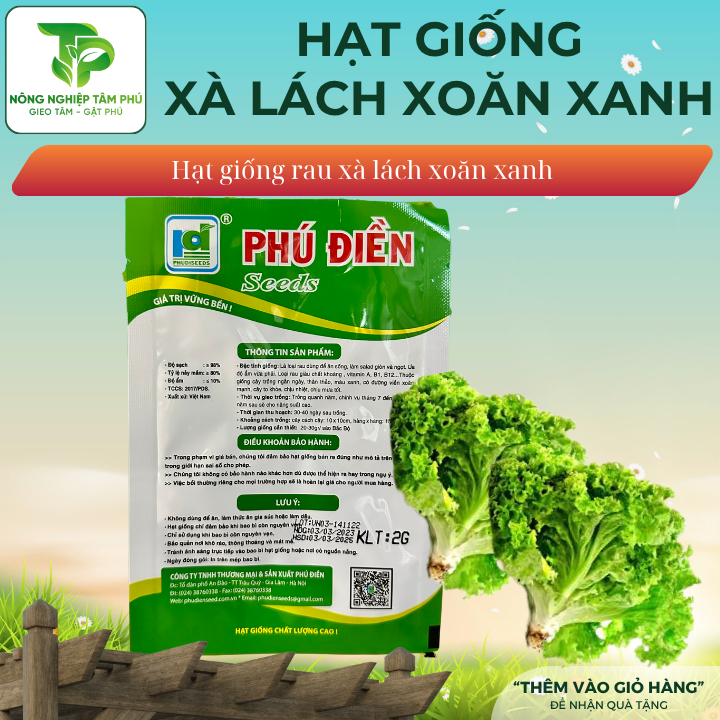 Hạt giống xà lách xoăn xanh - Ảnh 2
