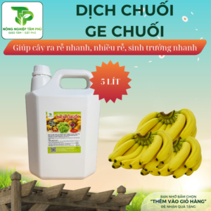 Alternative view of GE chuối, GE nha đam, dịch chuối, dịch nha đam 500ml-5L - phân bón lá hữu cơ giúp kích rễ, mập thân, xanh lá dành cho hoa lan, hoa hồng