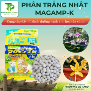 Alternative view of Phân tan chậm Magamp plus K 4-60-4-15Mg, phân trắng Nhật Bản túi 300g-1kg dành cho hoa lan, hoa hồng, bonsai và các loại hoa cây cảnh